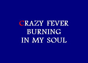 RAZY FEVER

BURNING
IN MY SOUL