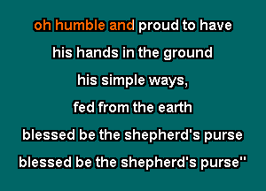 oh humble and proud to have
his hands in the ground
his simple ways,
fed from the earth
blessed be the shepherd's purse
blessed be the shepherd's purse