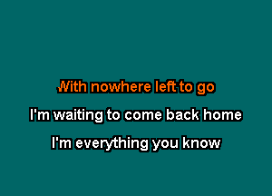 With nowhere left to go

I'm waiting to come back home

I'm everything you know