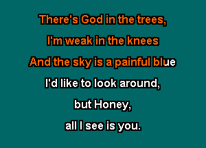 There's God in the trees,

I'm weak in the knees

And the sky is a painful blue

I'd like to look around,
but Honey,

all I see is you.