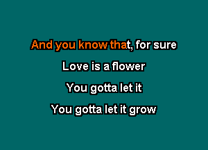 And you know that, for sure
Love is a flower

You gotta let it

You gotta let it grow