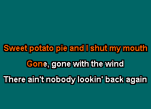 Sweet potato pie and I shut my mouth
Gone, gone with the wind

There ain't nobody lookin' back again