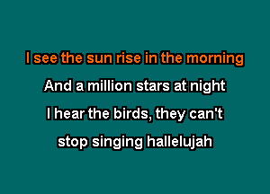 I see the sun rise in the morning

And a million stars at night

I hear the birds. they can't

stop singing hallelujah