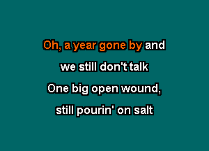 0h, a year gone by and

we still don't talk

One big open wound,

still pourin' on salt