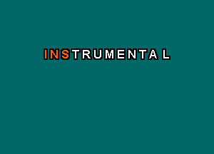 INSTRUMENTA L