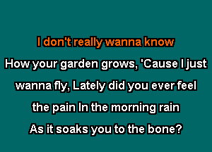 I don't really wanna know
How your garden grows, 'Cause ljust
wanna fly, Lately did you ever feel
the pain In the morning rain

As it soaks you to the bone?