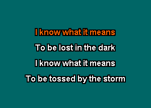 I know what it means
To be lost in the dark

I know what it means

To be tossed by the storm