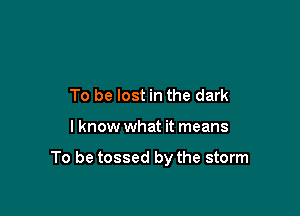 To be lost in the dark

I know what it means

To be tossed by the storm