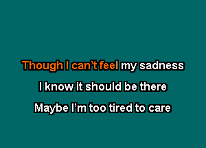 Though I can? feel my sadness

I know it should be there

Maybe I'm too tired to care