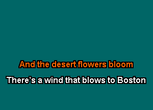 And the desert flowers bloom

There,s a wind that blows to Boston