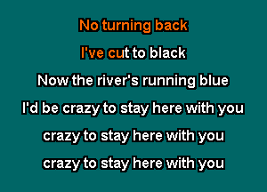 No turning back
I've cut to black
Now the river's running blue

I'd be crazy to stay here with you

crazy to stay here with you

crazy to stay here with you I