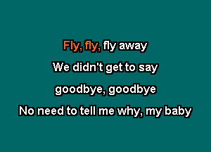 Fly, f1y, fly away
We didn't get to say
goodbye, goodbye

No need to tell me why, my baby