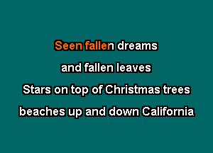 Seen fallen dreams
and fallen leaves

Stars on top of Christmas trees

beaches up and down California