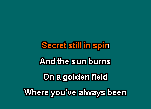 Secret still in spin
And the sun burns

On a golden field

Where you've always been