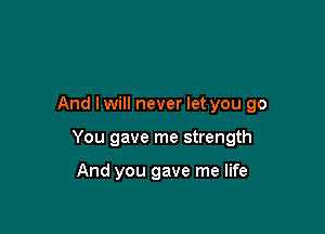 And lwill never let you go

You gave me strength

And you gave me life