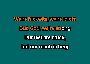 We're fuckwits, we're idiots
But, God, we're strong

Our feet are stuck,

but our reach is long