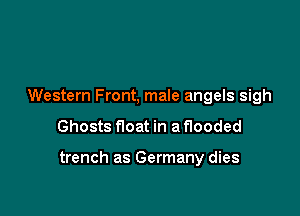 Western Front, male angels sigh

Ghosts float in a flooded

trench as Germany dies