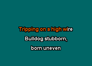 Tripping on a high wire

Bulldog stubborn,

born uneven