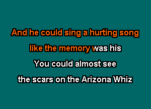 And he could sing a hurting song

like the memory was his
You could almost see

the scars on the Arizona Whiz