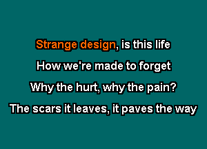 Strange design, is this life
How we're made to forget
Why the hurt, why the pain?

The scars it leaves, it paves the way