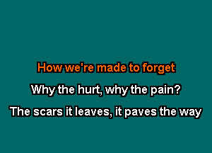 How we're made to forget

Why the hurt, why the pain?

The scars it leaves, it paves the way