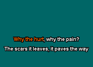 Why the hurt, why the pain?

The scars it leaves, it paves the way