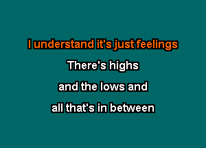 I understand it'sjust feelings

There's highs
and the lows and

all that's in between