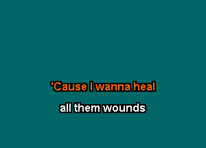 'Cause I wanna heal

all them wounds