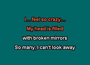 I.... feel so crazy....
My head is filled

with broken mirrors

So many, I can't look away