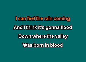 I can feel the rain coming

And lthink it's gonna flood

Down where the valley

Was born in blood