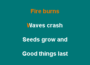 Fire burns
Waves crash

Seeds grow and

Good things last