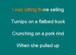 I was sitting there selling

Turnips on a flatbed truck

Crunching on a pork rind

When she pulled up