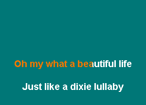 Oh my what a beautiful life

Just like a dixie lullaby