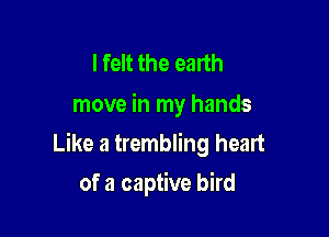 I felt the earth
move in my hands

Like a trembling heart

of a captive bird