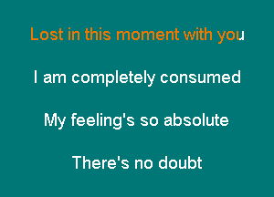 Lost in this moment with you

I am completely consumed
My feeling's so absolute

There's no doubt