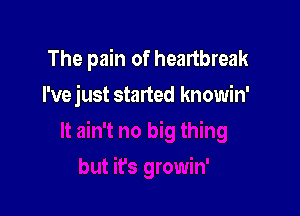 The pain of heartbreak

I'vejust started knowin'