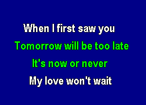 When I first saw you

Tomorrow will be too late
It's now or never
My love won't wait