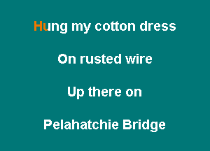 Hung my cotton dress
On rusted wire

Up there on

Pelahatchie Bridge