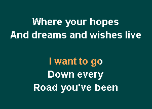 Where your hopes
And dreams and wishes live

I want to go
Down every
Road you've been