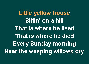 Little yellow house
Sittin' on a hill
That is where he lived
That is where he died
Every Sunday morning
Hear the weeping willows cry