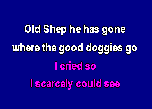 Old Shep he has gone

where the good doggios go