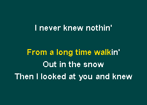 I never knew nothin'

From a long time walkin'
Out in the snow
Then I looked at you and knew