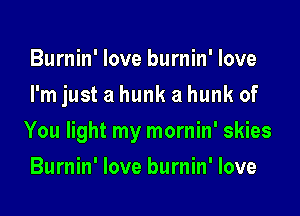 Burnin' love burnin' love
I'm just a hunk a hunk of

You light my mornin' skies

Burnin' love burnin' love