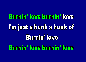 Burnin' love burnin' love

I'm just a hunk a hunk of

Burnin' love
Burnin' love burnin' love