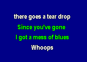 there goes a tear drop

Since you've gone

I got a mess of blues
Whoops