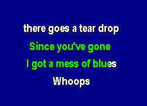 there goes a tear drop

Since you've gone

I got a mess of blues
Whoops