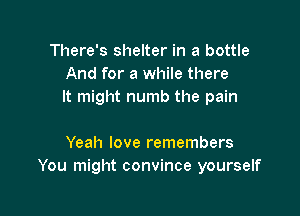 There's shelter in a bottle
And for a while there
It might numb the pain

Yeah love remembers
You might convince yourself