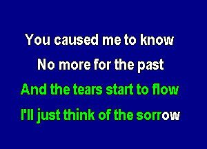 You caused me to know
No more for the past
And the tears start to flow

I'll just think of the sorrow