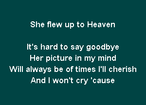 She flew up to Heaven

It's hard to say goodbye

Her picture in my mind
Will always be of times I'll cherish
And I won't cry 'cause