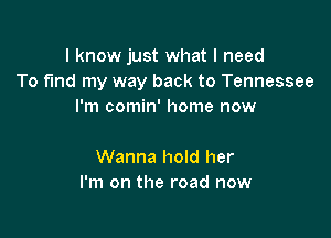 I know just what I need
To fmd my way back to Tennessee
I'm comin' home now

Wanna hold her
I'm on the road now